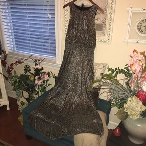 Banana Republic Women’s Long Shimmer Dress